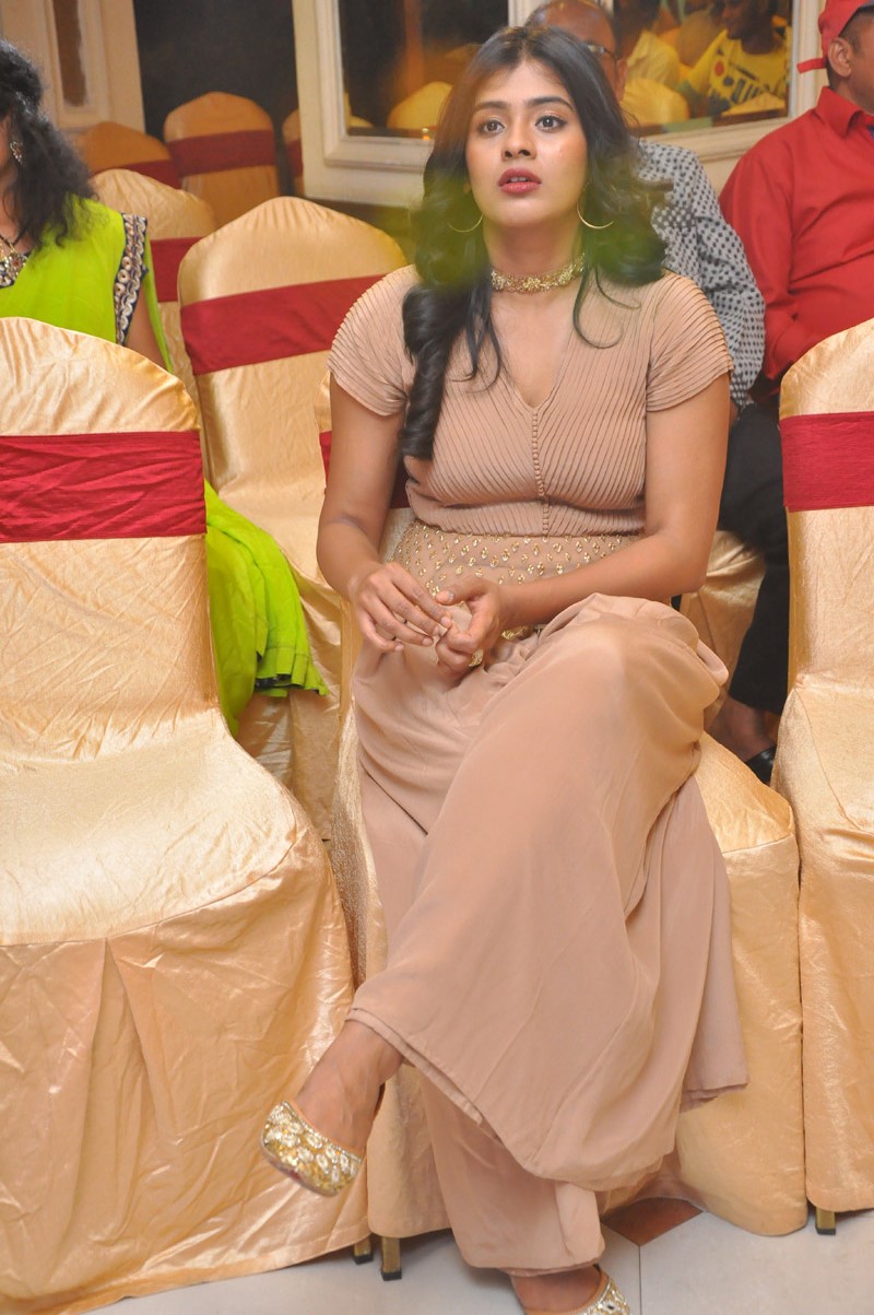 Hebah Patel Photos at Santosham Awards 2017 Curtain Raiser 14 hebah patel photos southcolors%2B%252814%2529