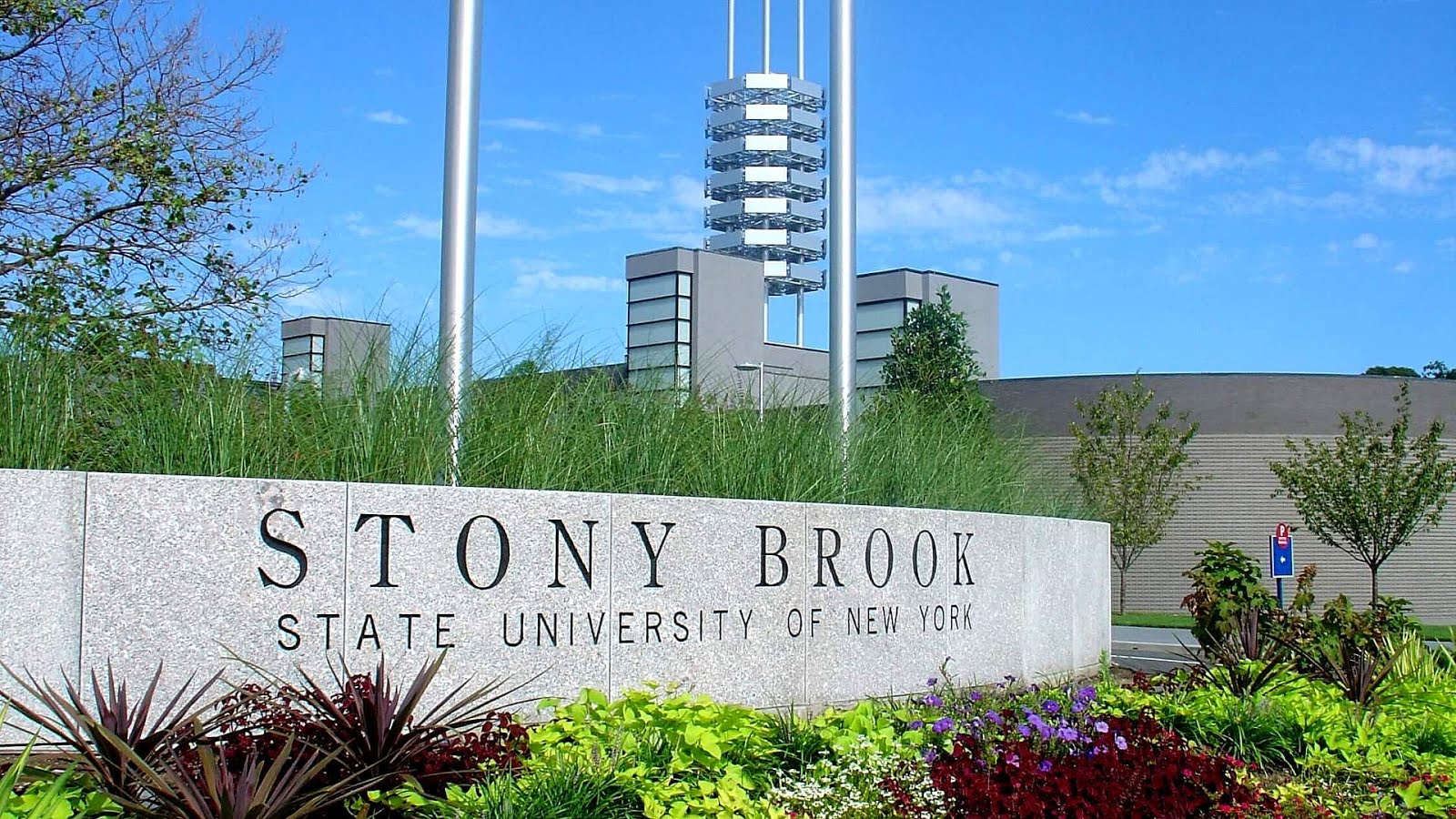 Colleges With Good Psychology Programs Psychology Choices