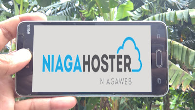 Ingin Hosting dan Domain Murah? di NiagaHoster saja!