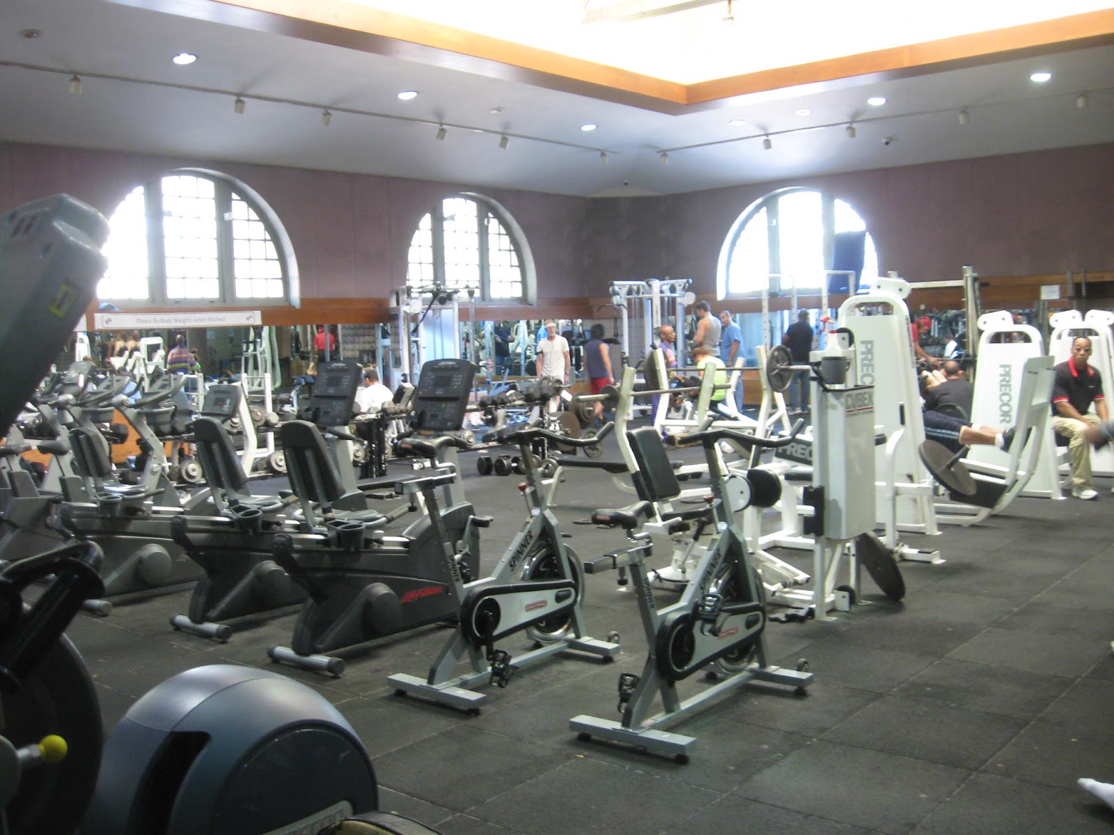 The Penniless Prima Donna Cheap Gyms in New York City