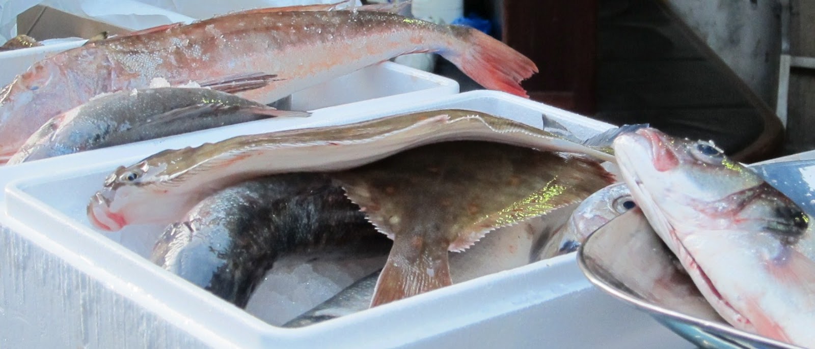 Saffron Strands The True Price of Fish