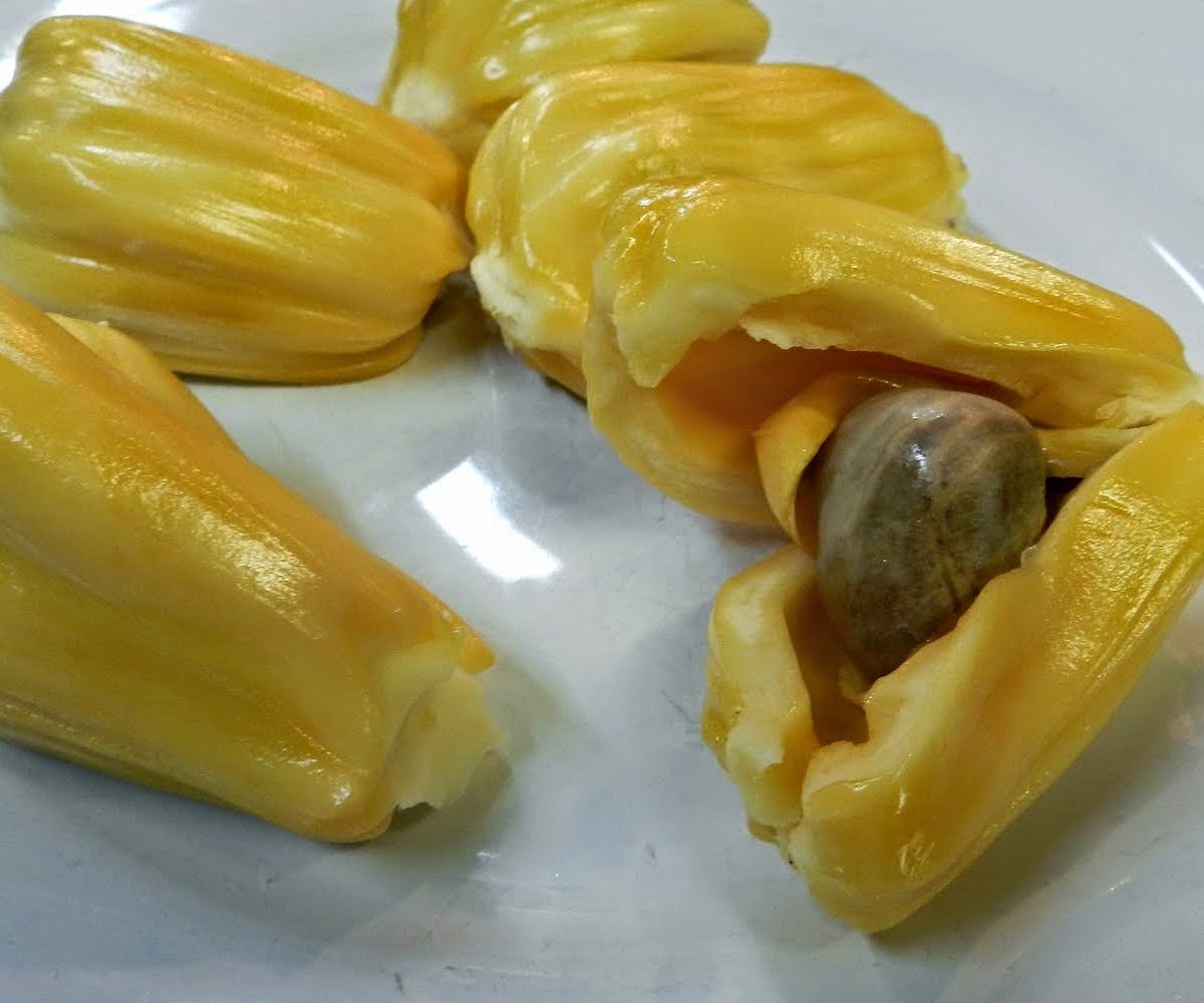 Amazing Benefits of Jackfruit Seeds For Skin and Hair Home Remedies