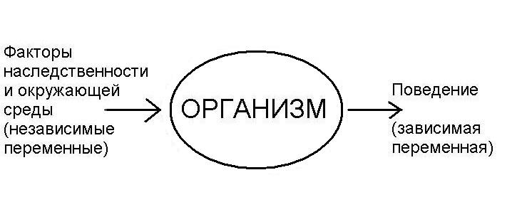 Схема поведения. Поведение организмов Скиннер. Скиннер схема поведения. Цепочка поведения Скиннера. Вербальное поведение Скиннер.