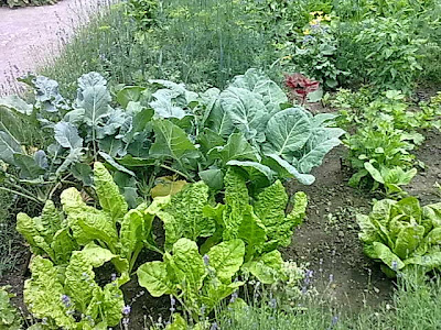 Derthuringer Informativ Aktuell Mit Radio Archiv Derthuringer