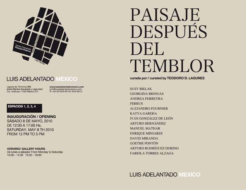 Paisaje después del Temblor (Landscape after the earthquake), 2010