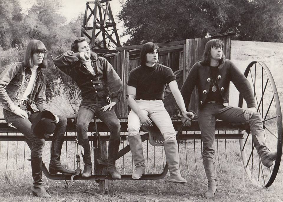 Tales From a Former Fanzine Journalist The Seeds