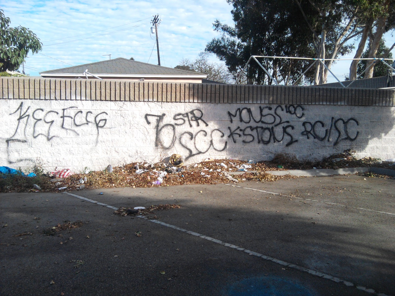 crip gangs graffiti East coast crip ( 76 street , neighborhood )