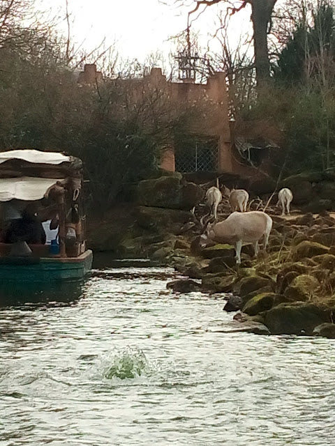 Hessenjaeger 03 2019 E Paper