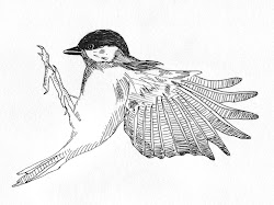 bird drawings flying brabbins sophie artists
