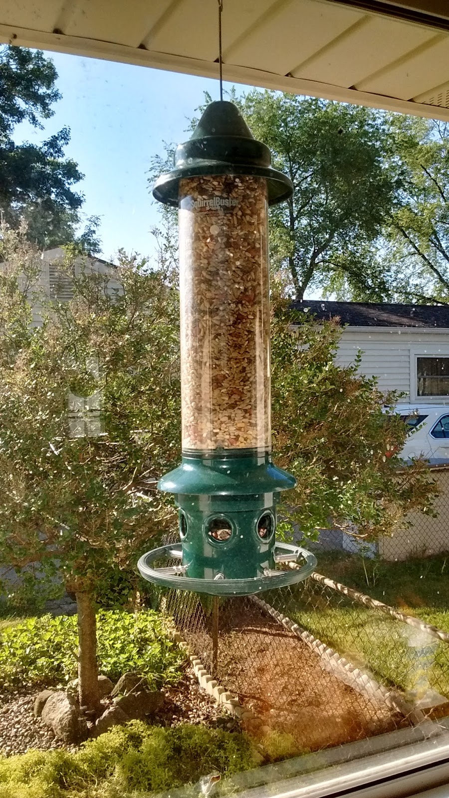 Ghulf Genes The Ultimate Feeder