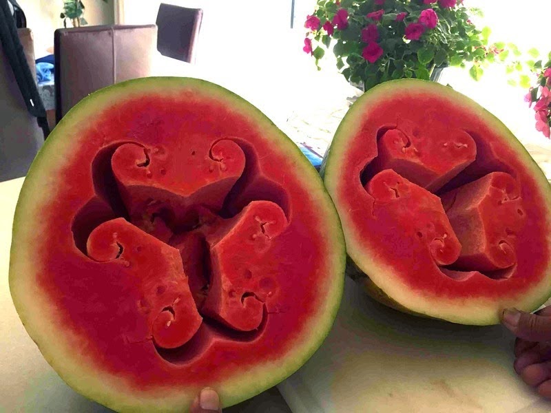 TYWKIWDBI ("Tai-Wiki-Widbee"): This is a "hollow heart" watermelon