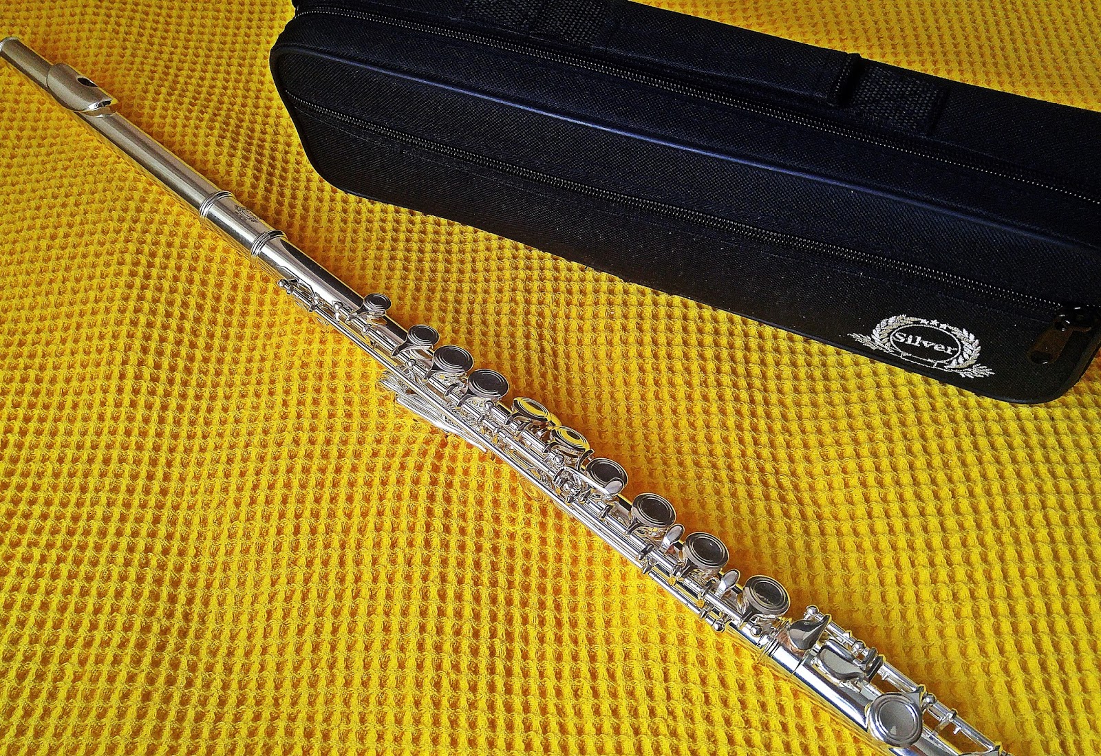 Yan Flut Ogrenmeye Basladim Muzik Gunlugu 1 Gizli Dunya