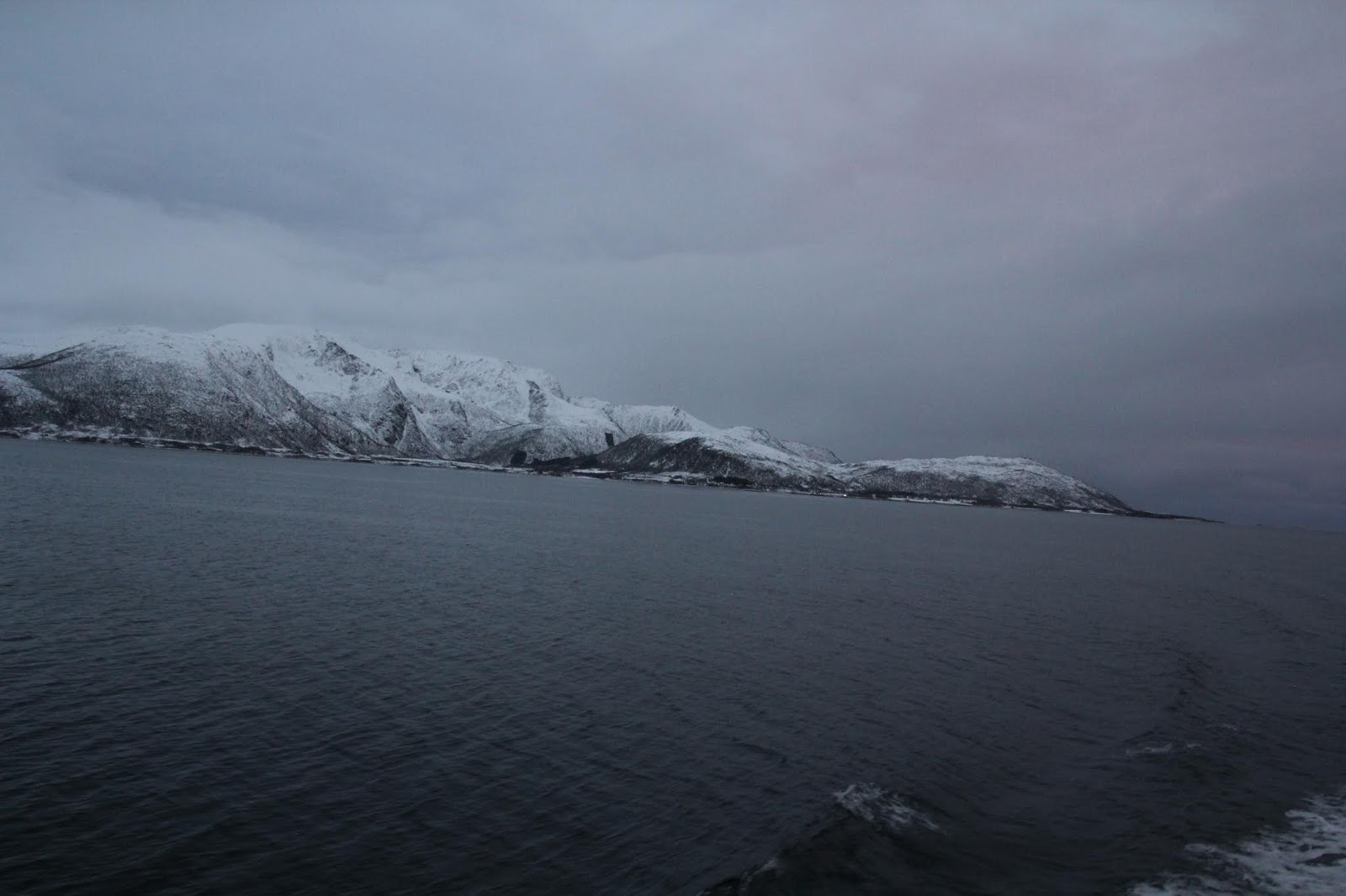 дно арктики. пол никлен полярная одержимость фото. северный ледовитый океан подводный мир. северный ледовитый океан подводный мир. донья северных морей.