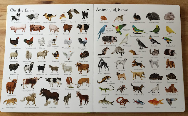 1000 Animals by Usborne Books