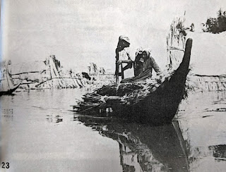 A balam with a load of reeds