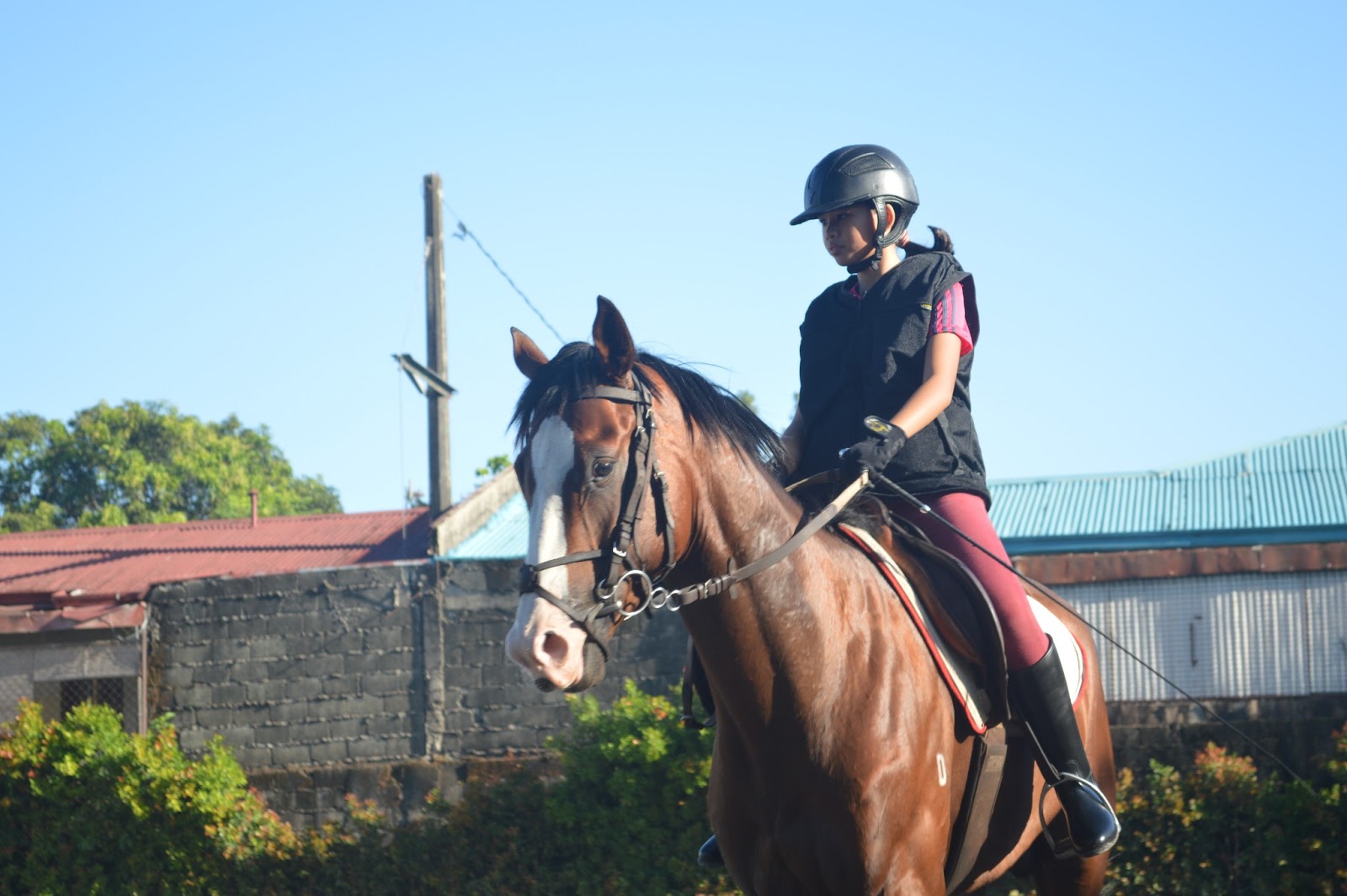 Horse Riding Philippines A Glimpse of Yana's Horesback Riding Lesson