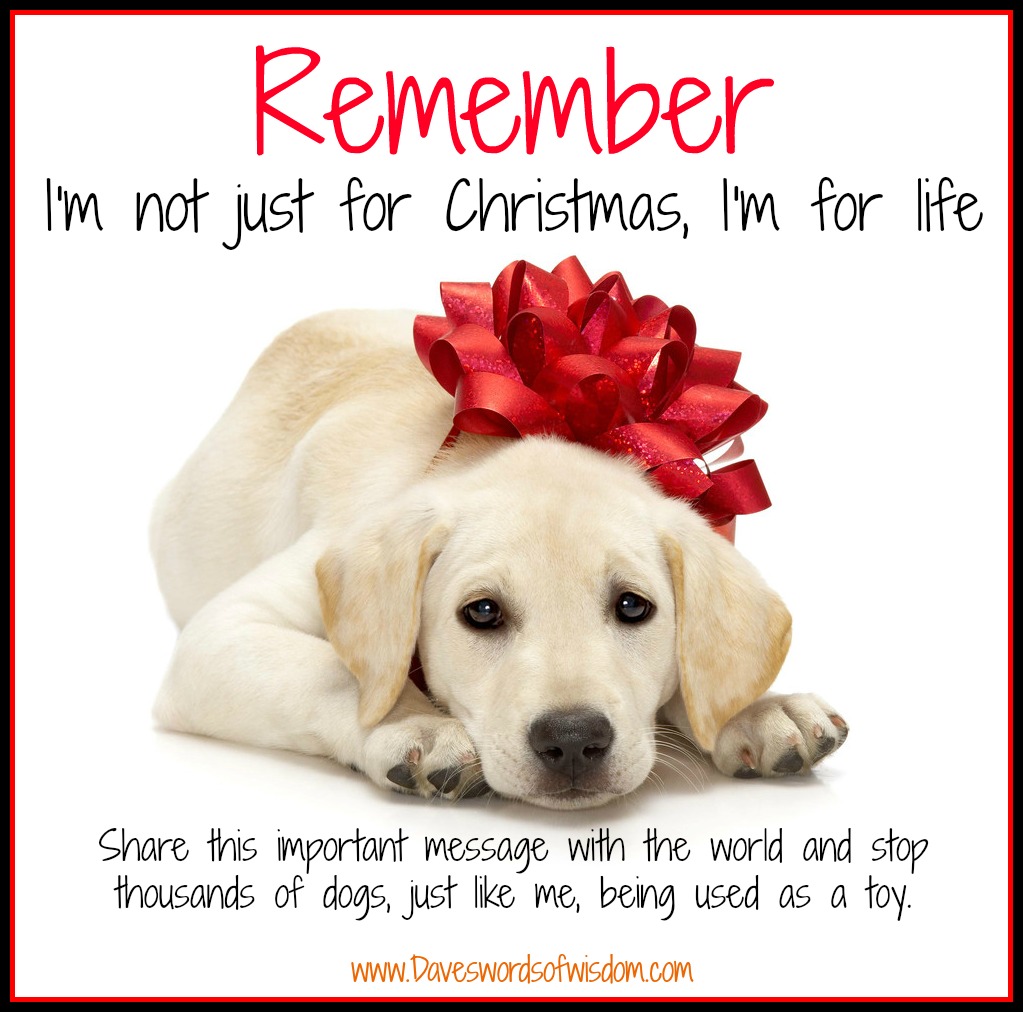 Christmas Is Not About Gifts 