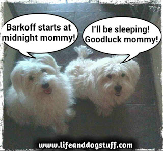 Buffy and Fluffy Buffy and Fluffy