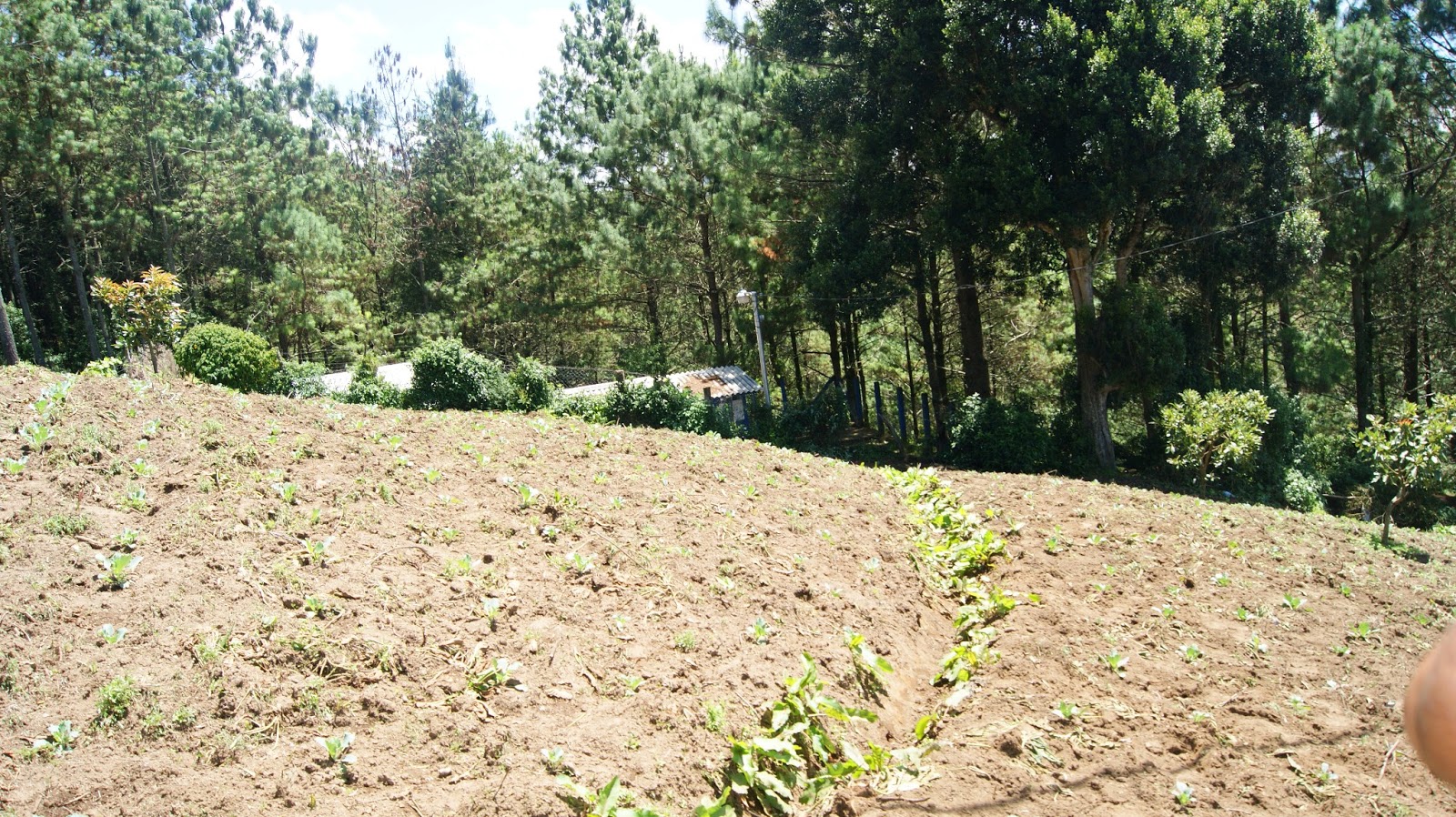 Venta de Terrenos en Miramundo Chalatenango El Salvador Venta Terrenos