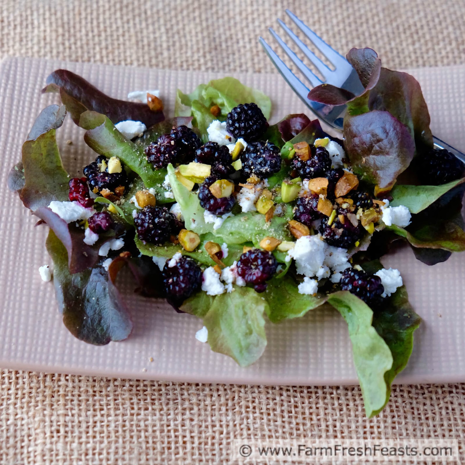 Farm Fresh Feasts Black Raspberry, Goat Cheese & Pistachio Salad