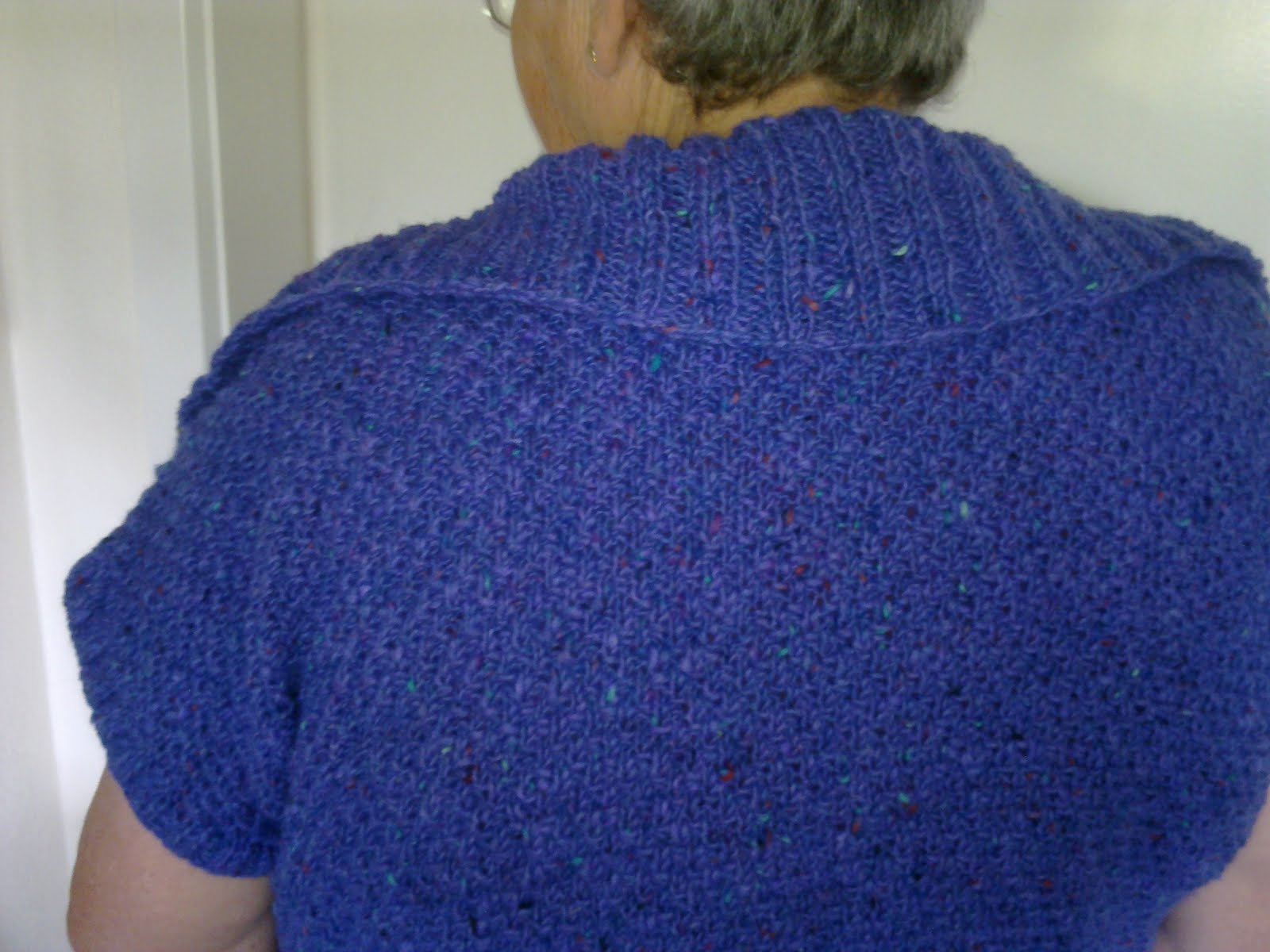 Bedstes strikkedagbog/galleri Debbie Bliss vest færdig