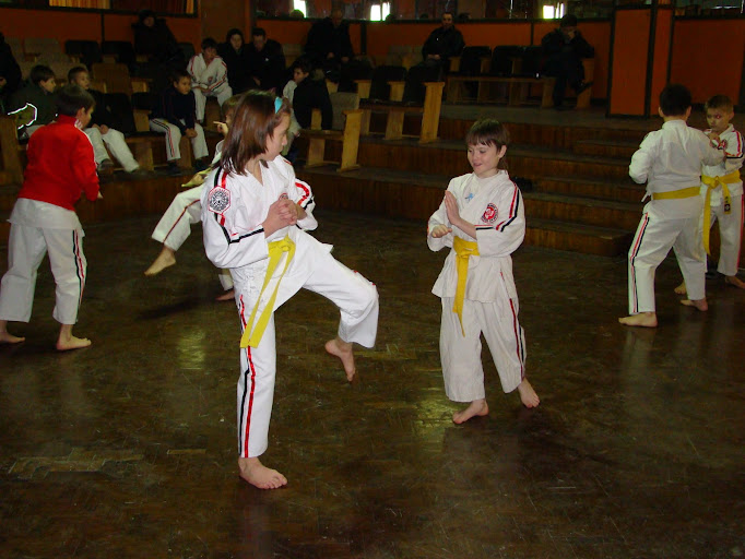 Сдача на пояса, Тольятти