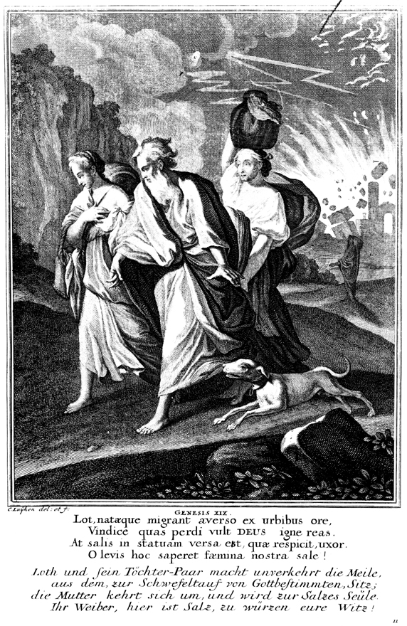 существование 19