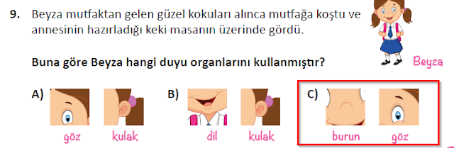 MEB Yayınları 3.Sınıf Fen Bilimleri Ders Kitabı 63.Sayfa Cevapları (Beş Duyumuz 2. Ünite Değerlendirme Testi) MEB Yayınları 3.Sınıf Fen Bilimleri Ders Kitabı 63.Sayfa Cevapları (Beş Duyumuz 2. Ünite Değerlendirme Testi)