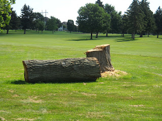 Hillcrest CC Turf Management