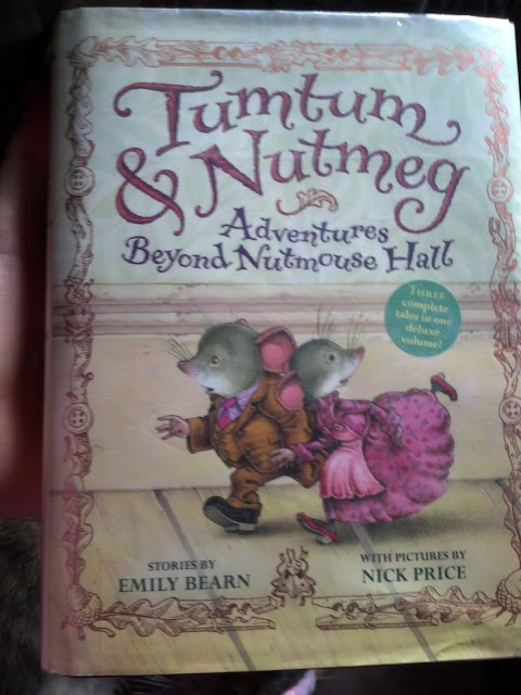 Tumtum and nutmeg christmas adventure