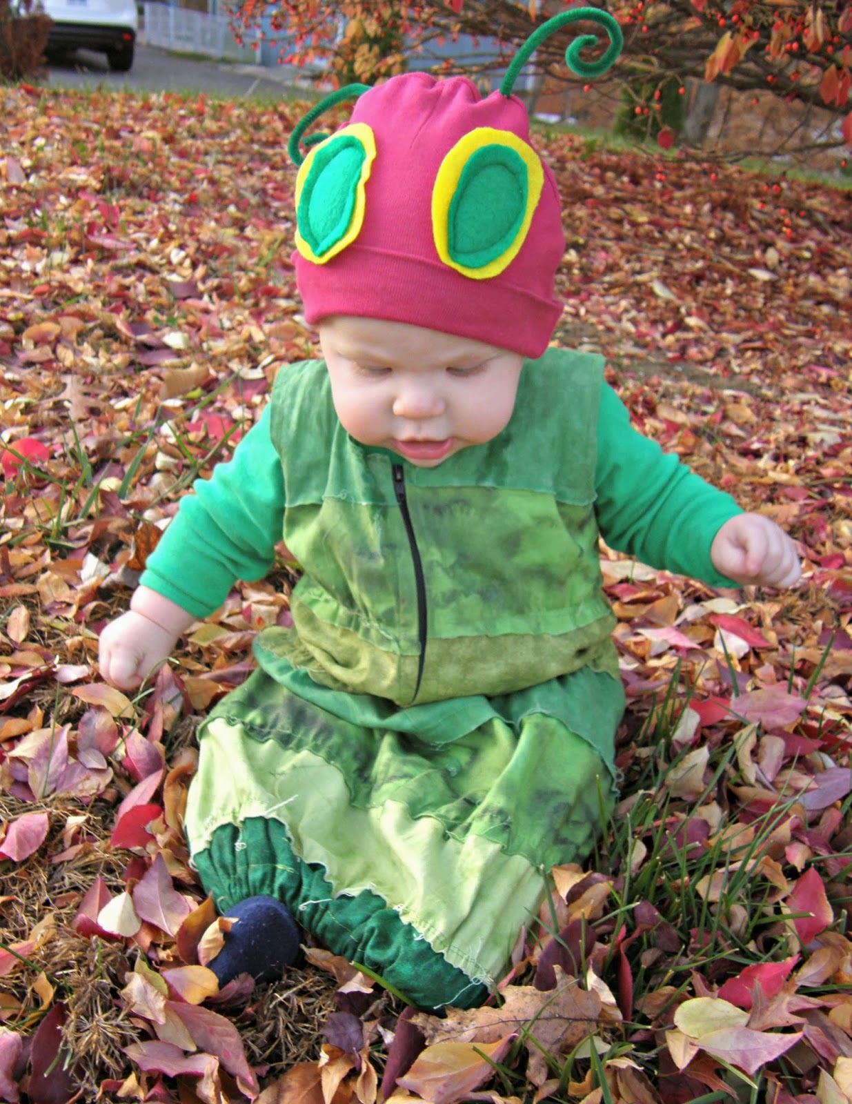 Mommykakes: The Very Hungry Caterpillar Costume