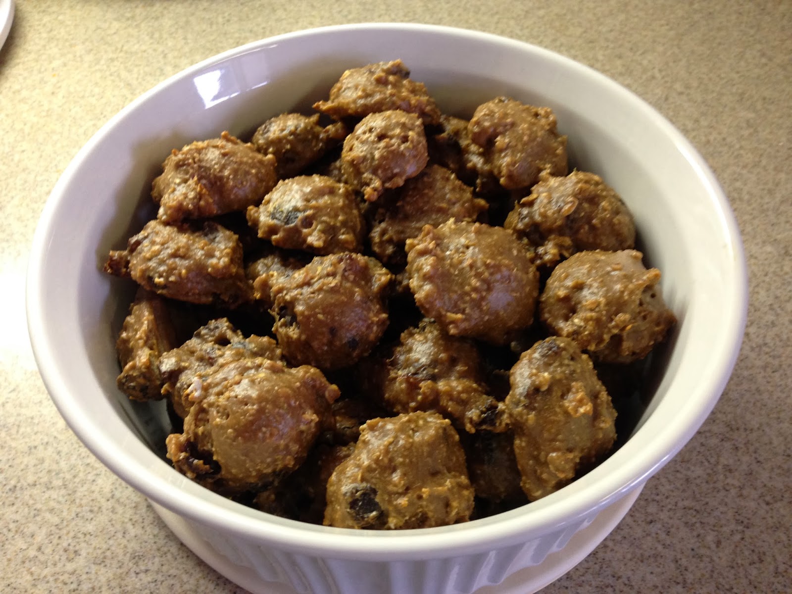 High Plains Florida Cracker Chocolate Oatmeal Protein Powder Cookies