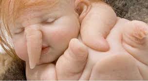 মহিলা জন্ম দিল হাতির বাচ্চা।