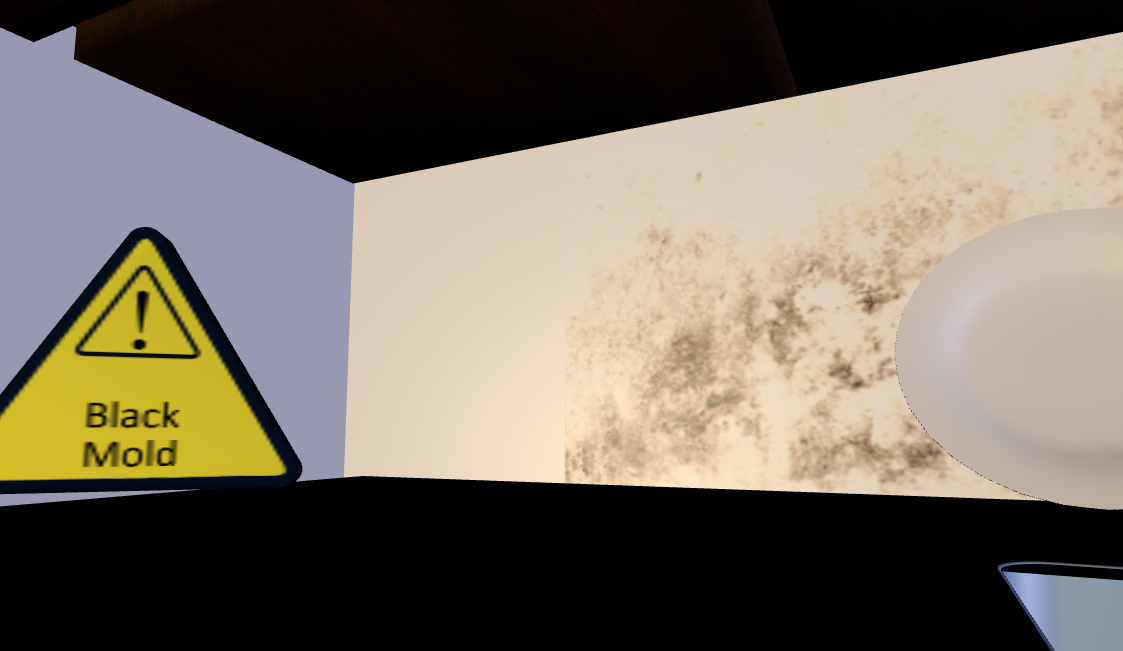 Environmental Health Hazards The many health hazards in your home