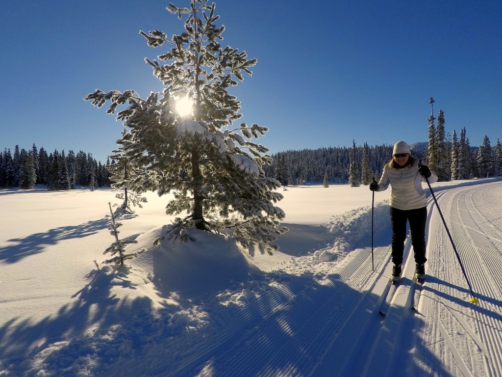 Keith Nicol Adventures We had a great season of cross country skiing