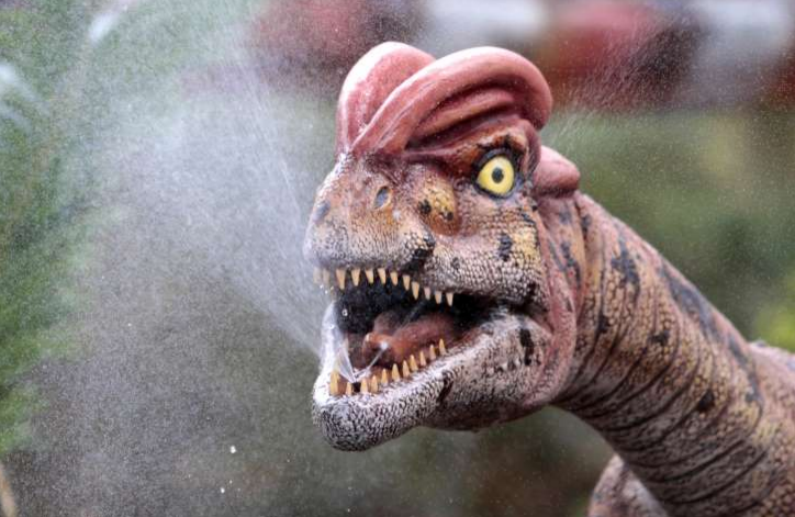 dinosaur with many horns on head