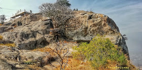 Bala Kondarayaswamy Thirukkoil , Krishnagiri Bala Kondarayaswamy Thirukkoil , Krishnagiri