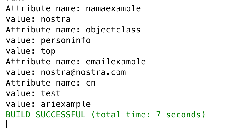 Nostra Technology: How to get and insert user LDAP using Java