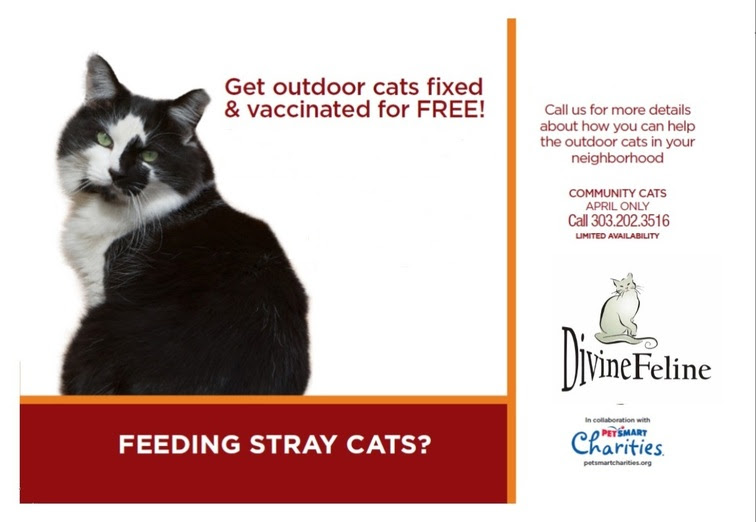 MileHighGayGuy Feral Cats Fixed Free in April