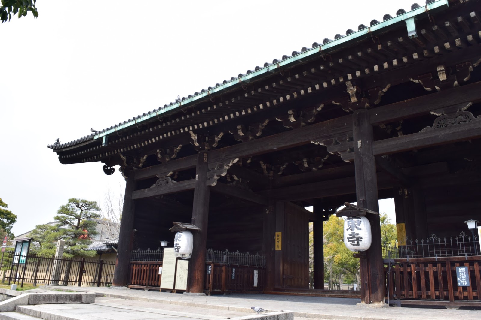 Sakura at Toji, Kyoto Candyfloss Overkill