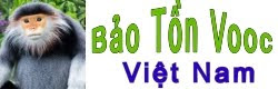 Bảo tồn Vooc Việt Nam