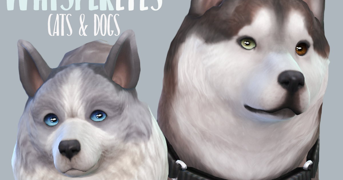 Ts Cats And Dogs Cc Ts Cats And Dogs Cc