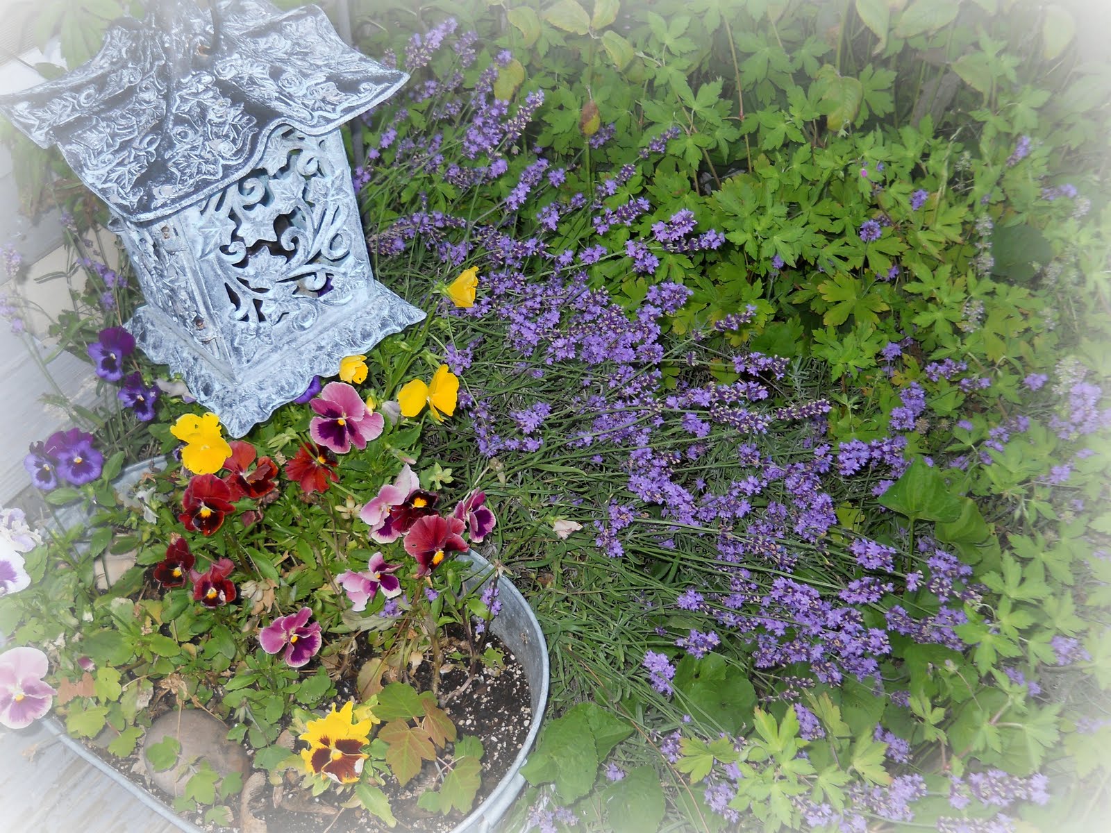 Lakehouse: Garden friends