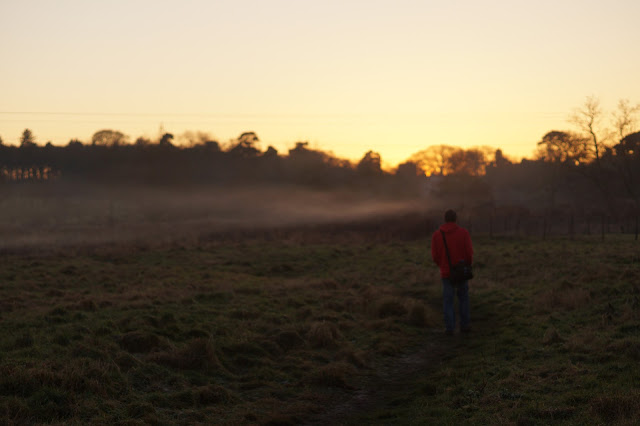 winter sunsets and mist in the Norfolk countryside