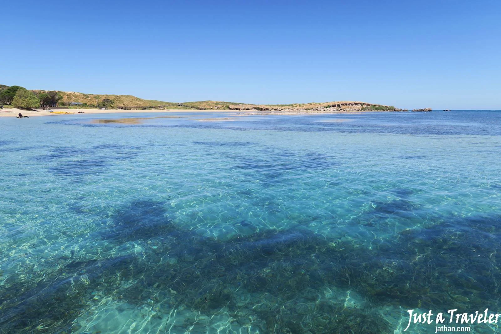 伯斯-景點-推薦-必玩-一日遊-企鵝島-Penguin-Island-遊記-旅遊-自由行-Perth