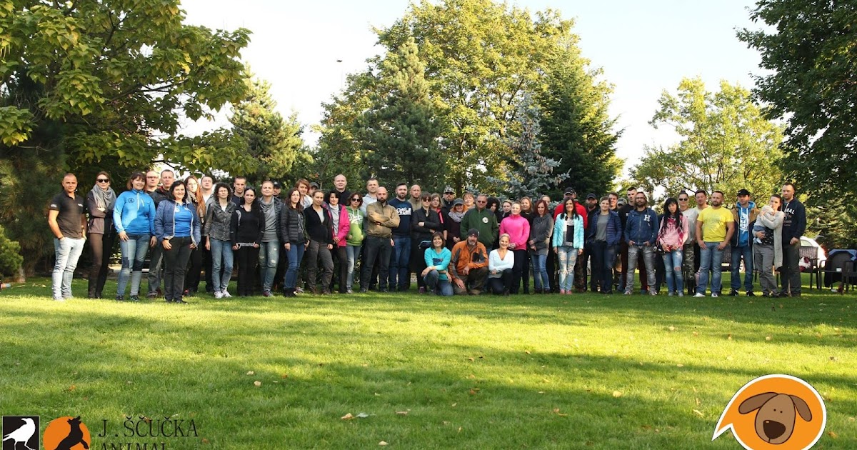 Kotlet po polsku Scio me nihil scire