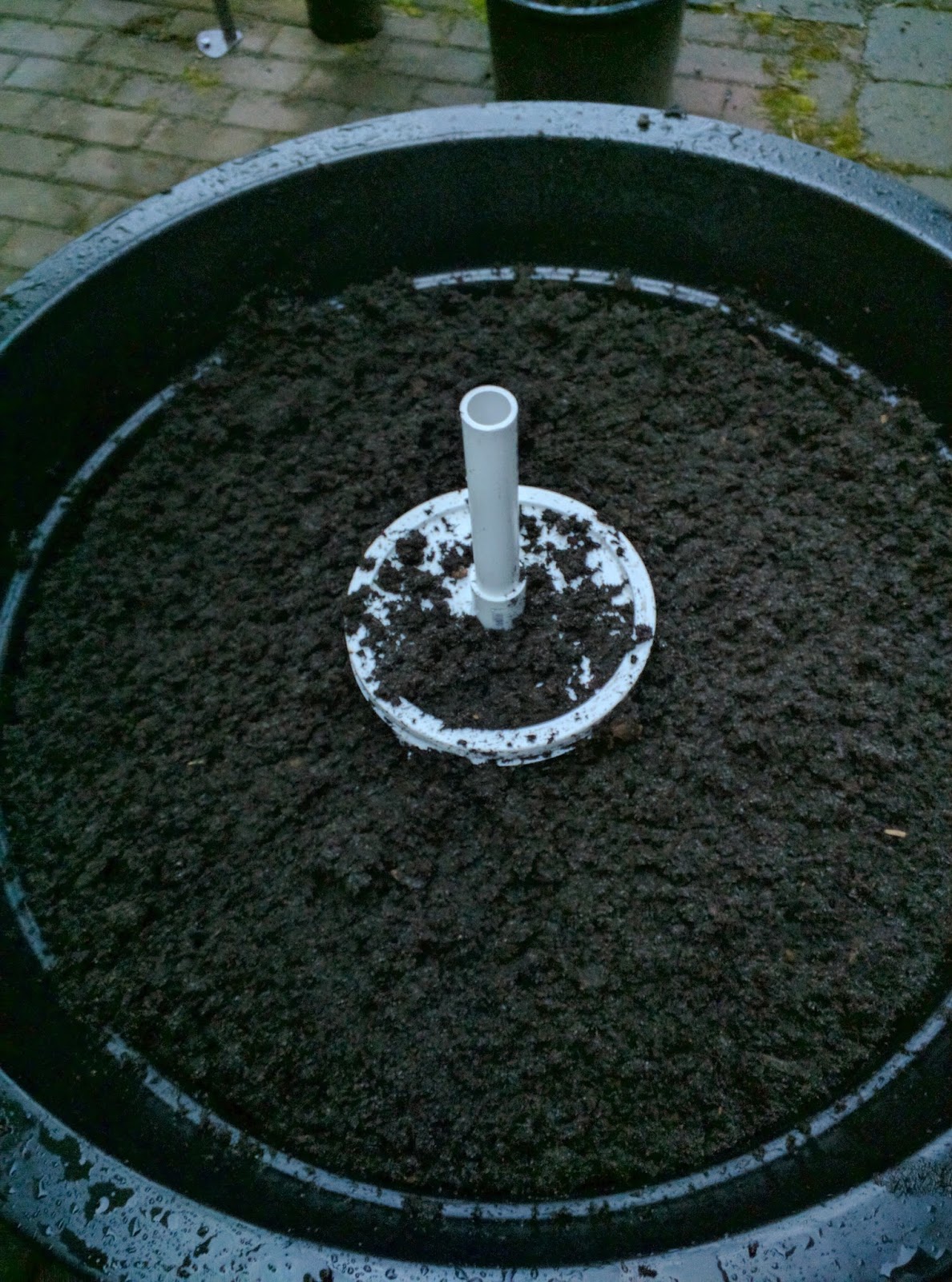 How To Make A Container Bog Garden