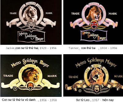 thiết kế logo của hãng MGM