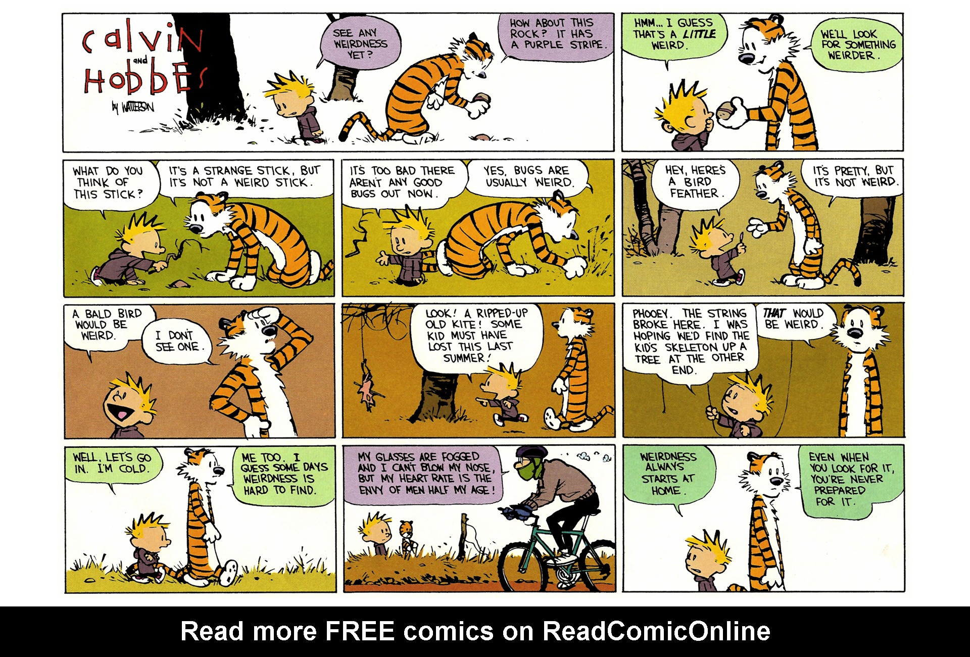 Read online Calvin and Hobbes comic -  Issue #11 - 147