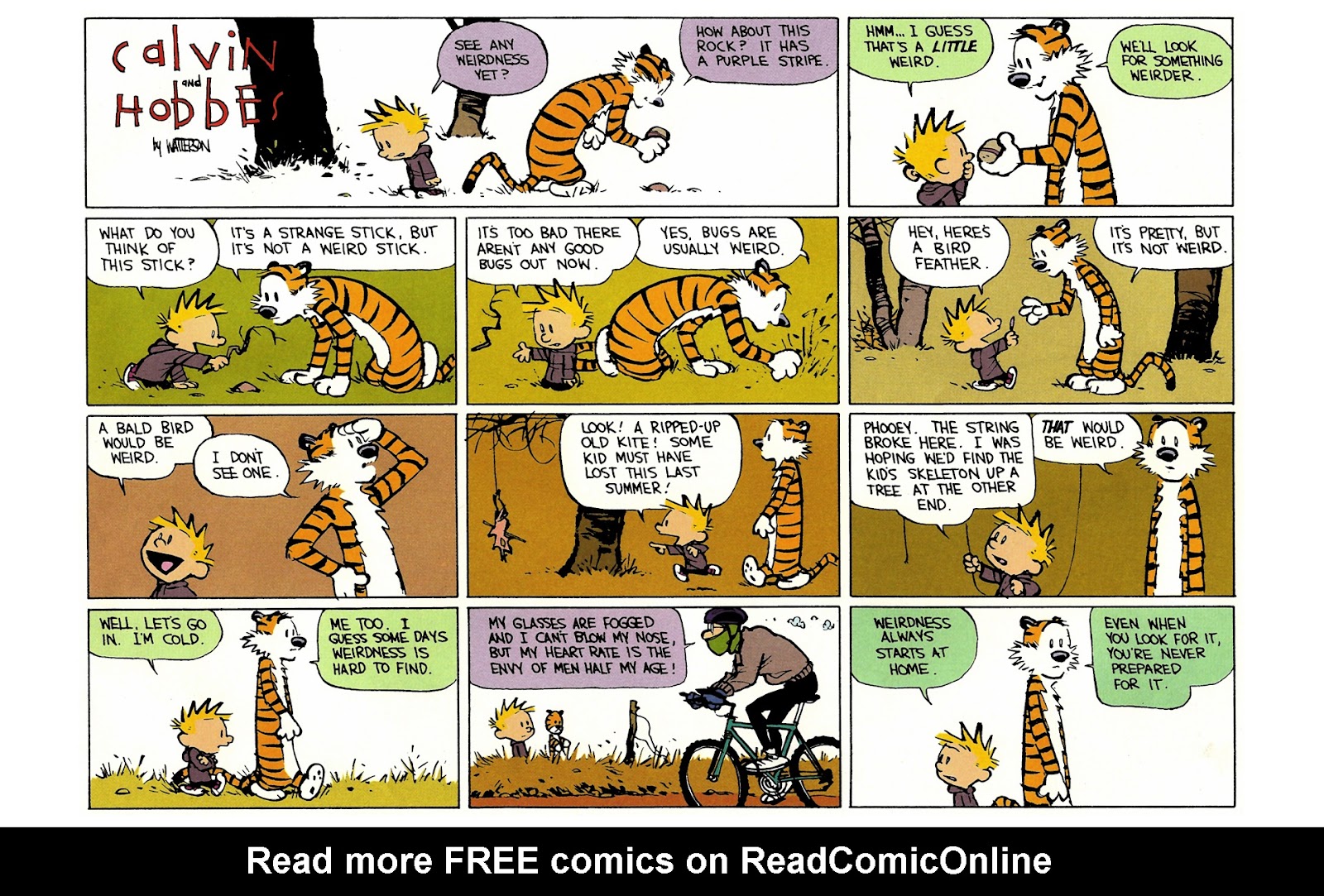 Calvin and Hobbes issue 11 - Page 147